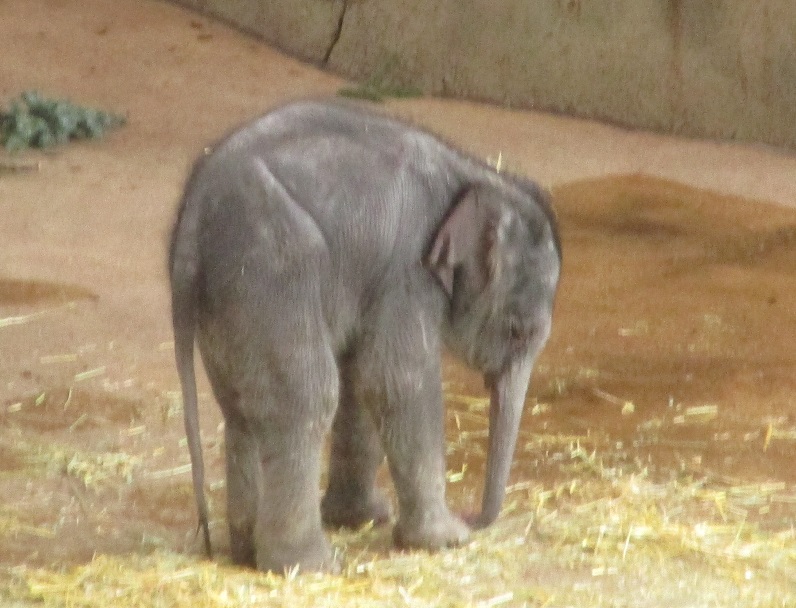 11_La Min Kyaw